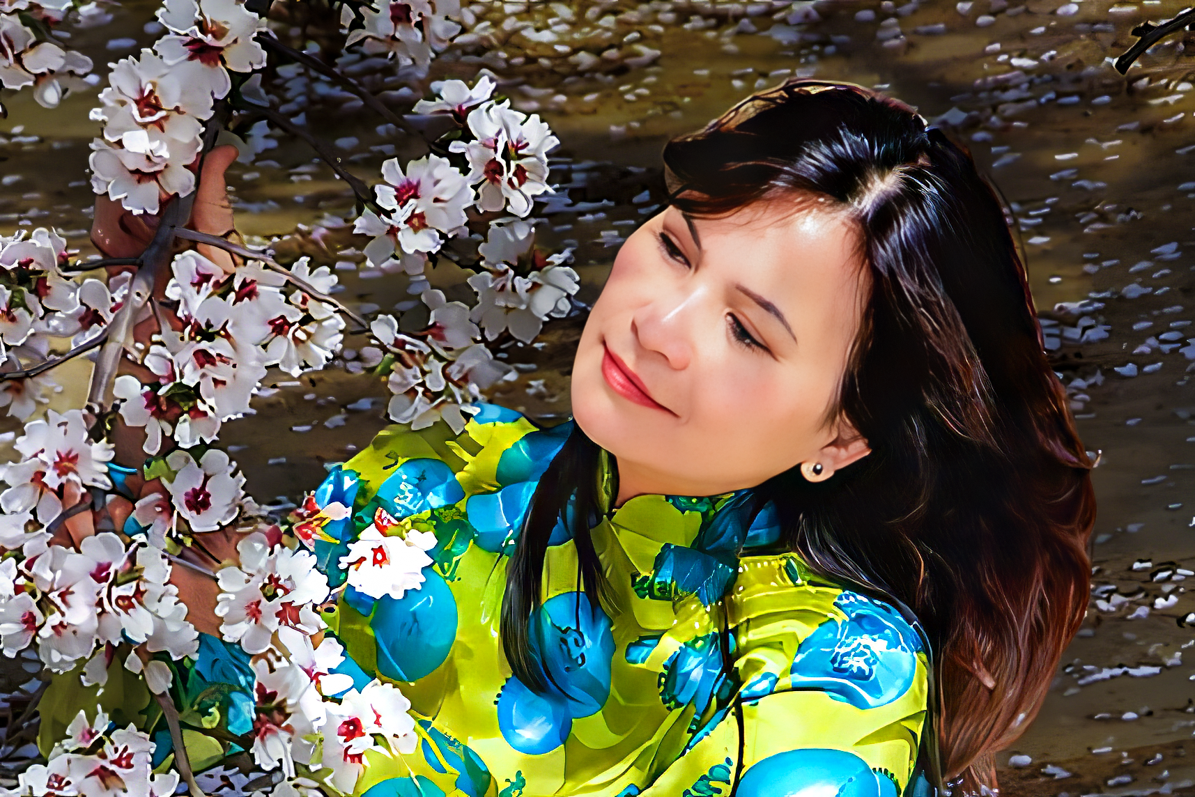 Plum Blossom-2013 (3)